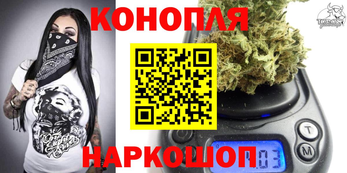 Бошки Шишки сатива Балтийск